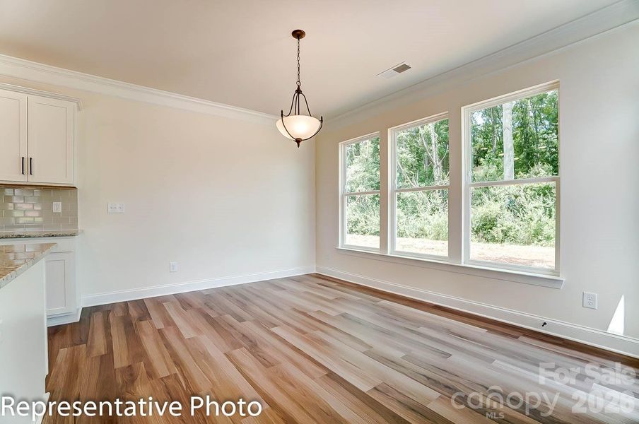 Spacious, unfurnished interior of a new home in Robinson Oaks, Gastonia (Image 12). Spacious, unfurnished interior of a new home in Robinson Oaks, Gastonia (Image 12).