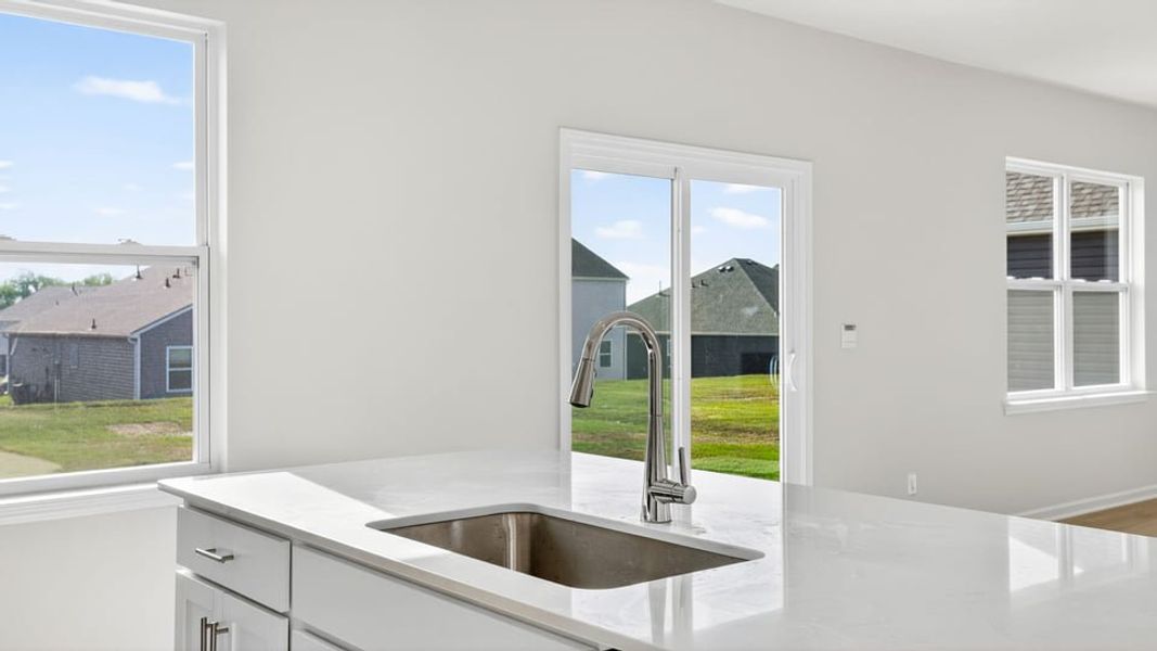 Close-up of interior finishes inside a home in Durbin Meadows Traditions, Fountain Inn (Image 13).