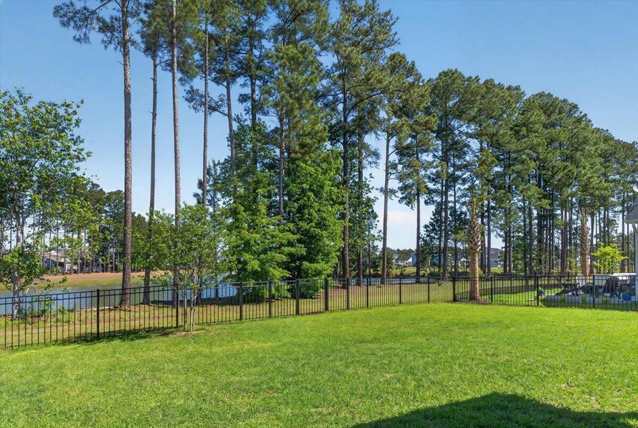 Natural landscape and outdoor views near  in Summerville (Image 49).