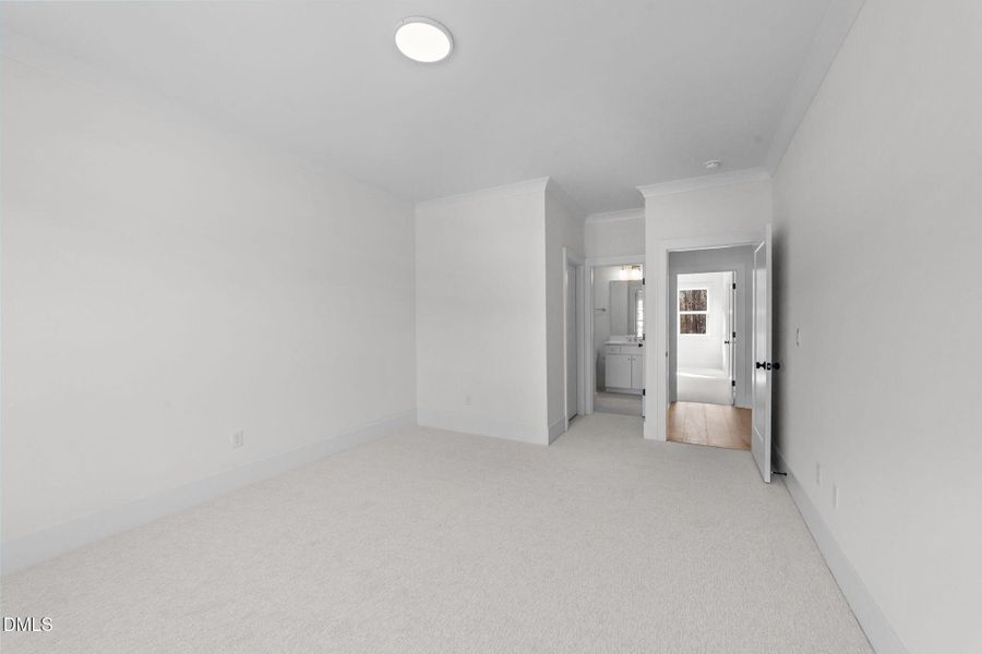 56-web-or-mls-VB4A5705