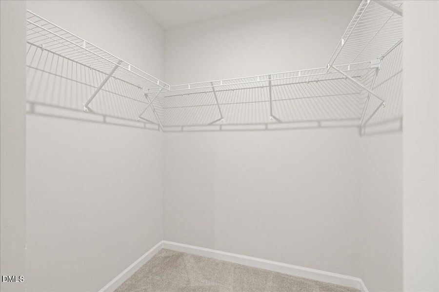 29-502 Camaro Rift Trl