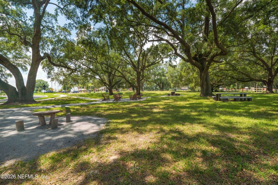 Natural landscape and outdoor views near Granary Park in Green Cove Springs (Image 63).