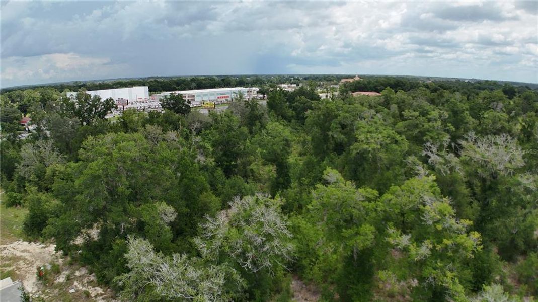 Natural landscape and outdoor views near  in Ocala (Image 26).