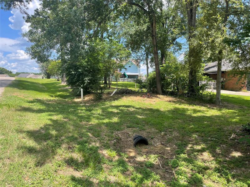 Natural landscape and outdoor views near  in Montgomery (Image 26).