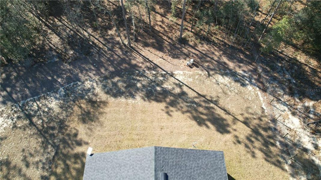 Natural landscape and outdoor views near  in Ocala (Image 35).