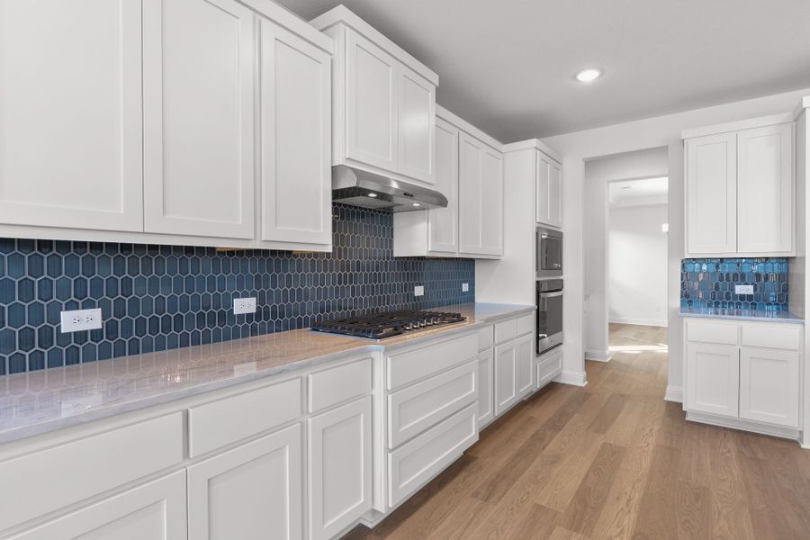 4,033sf New Home in Fort Worth, TX.  - Slide 16