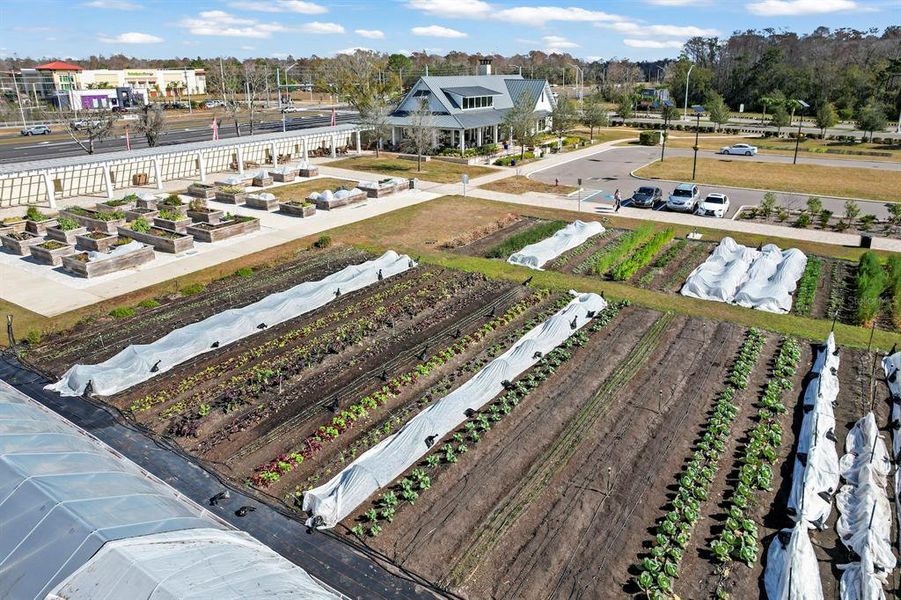 Image 56 of a home in Angeline Active Adult: Active Adult Manors. Image 56 of a home in Angeline Active Adult: Active Adult Manors.