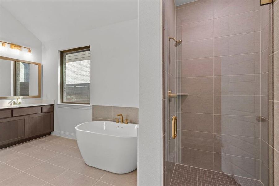 DAL_Painted Tree_Mineola_3916 Attwater Street (26)