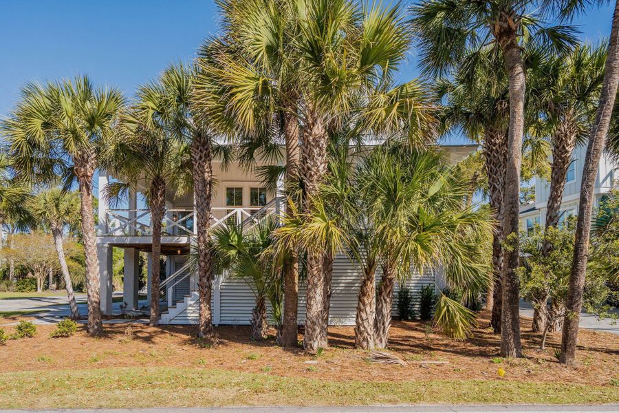 Natural landscape and outdoor views near  in Folly Beach (Image 110).
