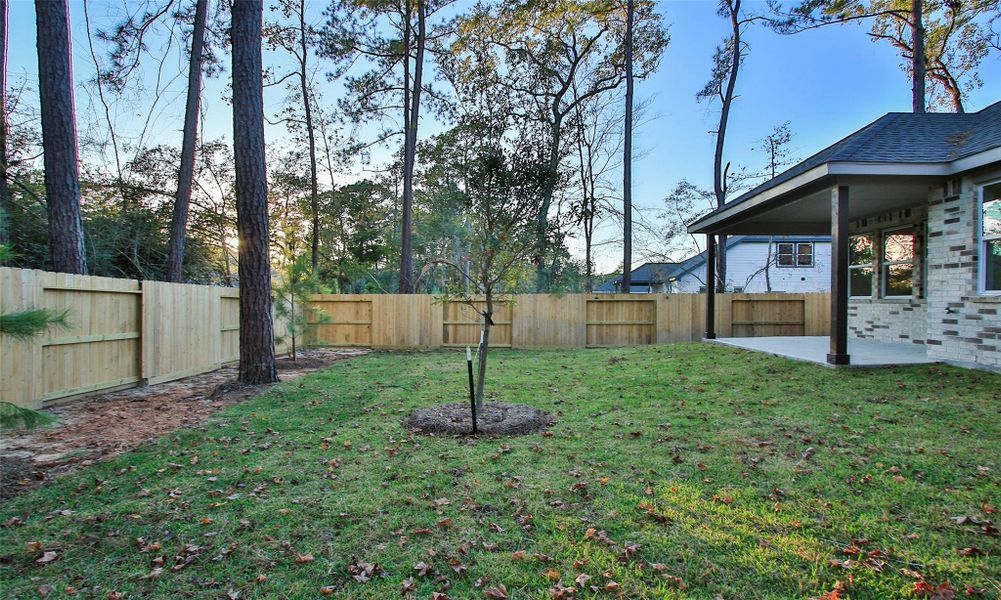Exterior details and patio area of a home in The Woodlands Hills, Willis (Image 4). Exterior details and patio area of a home in The Woodlands Hills, Willis (Image 4).