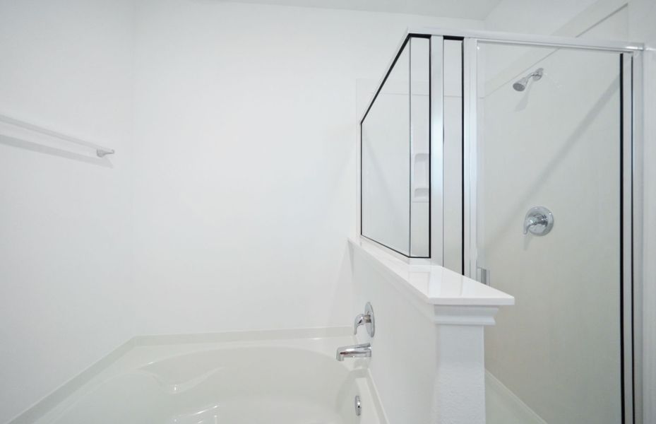 Owner's Bath Owner's Bath