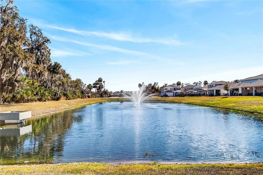 Natural landscape and outdoor views near  in Sanford (Image 60).