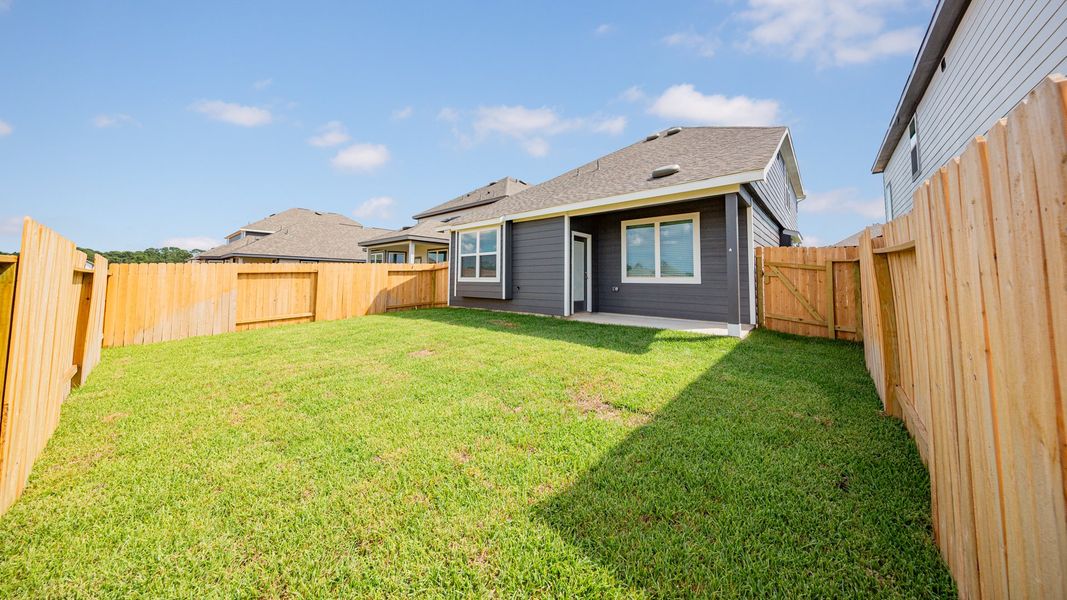 Backyard