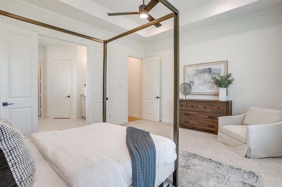 Large primary bedroom with a raised ceiling, crown molding, and a ceiling fan Large primary bedroom with a raised ceiling, crown molding, and a ceiling fan