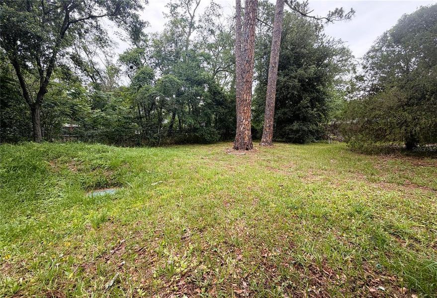 Natural landscape and outdoor views near  in Jacksonville (Image 40).