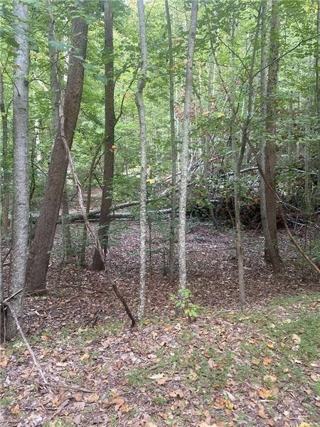 Natural landscape and outdoor views near  in Ranger (Image 12).