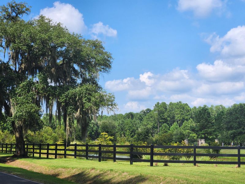 Natural landscape and outdoor views near in Yemassee (Image 65). Natural landscape and outdoor views near in Yemassee (Image 65).