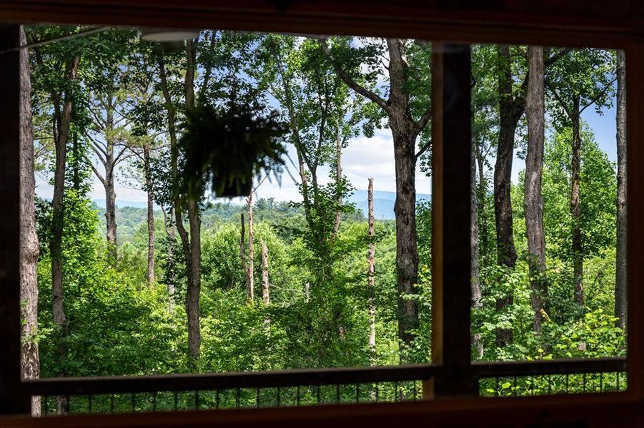 Natural landscape and outdoor views near  in Ellijay (Image 51).