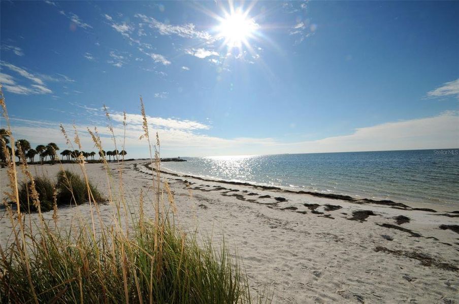 Natural landscape and outdoor views near in Tarpon Springs (Image 58). Natural landscape and outdoor views near in Tarpon Springs (Image 58).