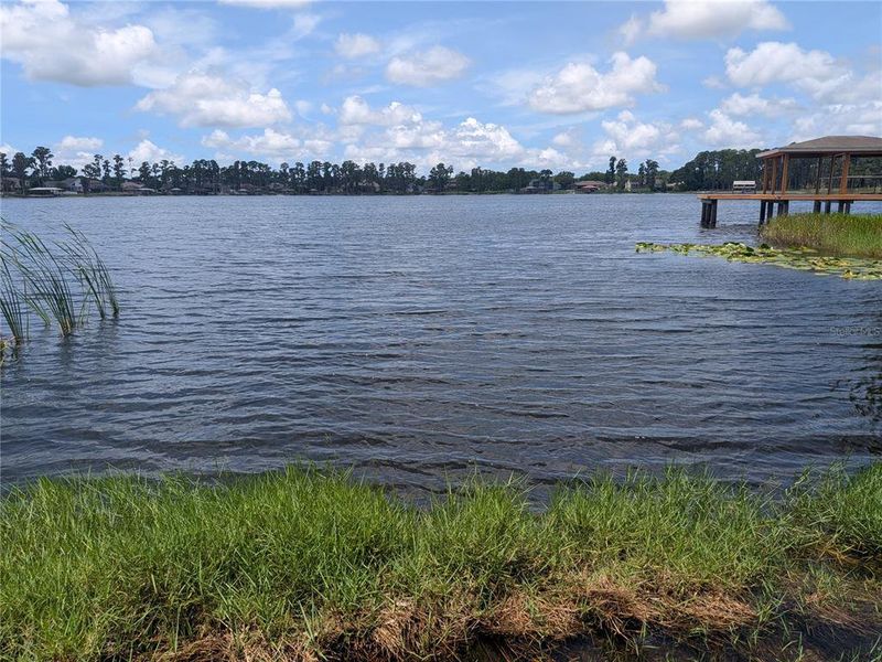 Natural landscape and outdoor views near in Odessa (Image 18). Natural landscape and outdoor views near in Odessa (Image 18).
