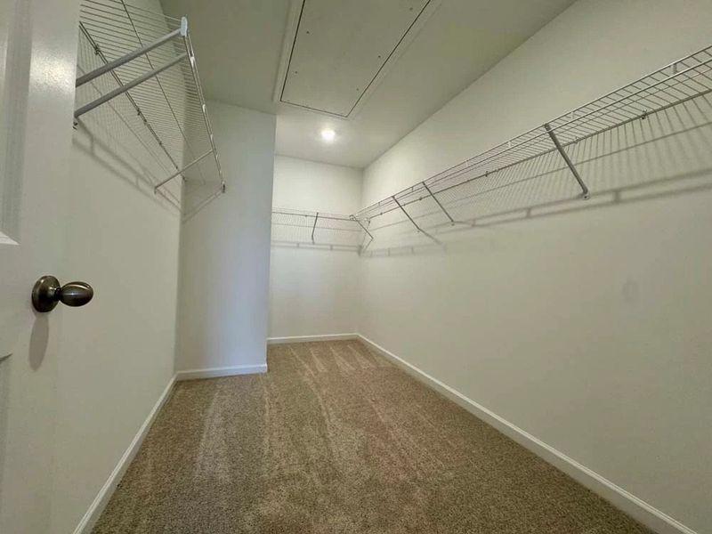 Primary Bedroom Walk-In Closet