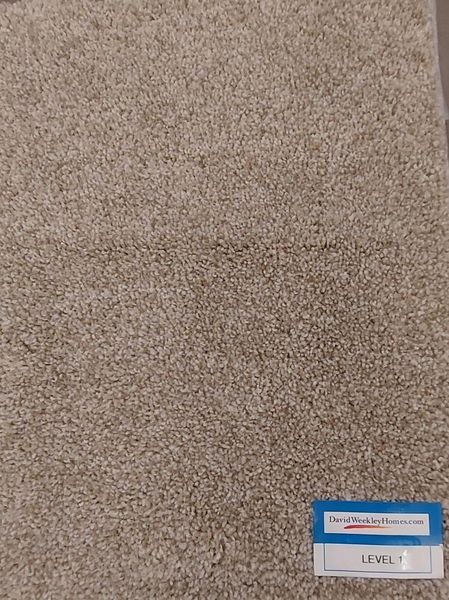 Carpet Selection Carpet Selection