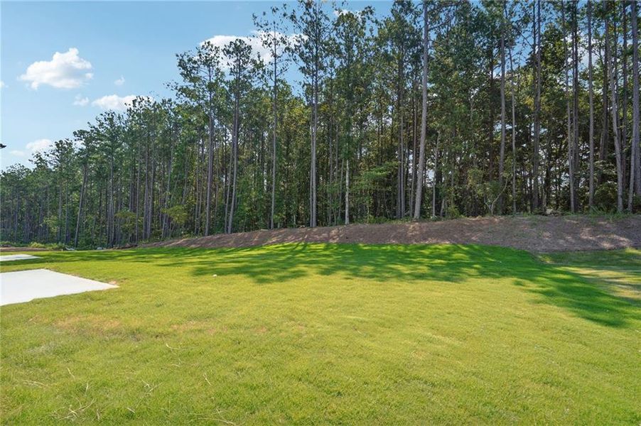 Image 29 of a home in Parkside at Grayson.