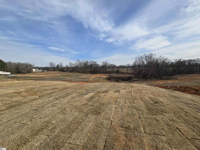 Site preparation for new homesites in Halton Oaks, Spartanburg (Image 32).