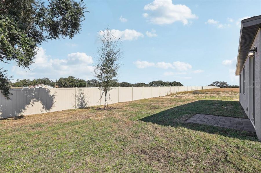 Exterior details and patio area of a home in Bradbury Creek - Signature Series, Haines City (Image 20).