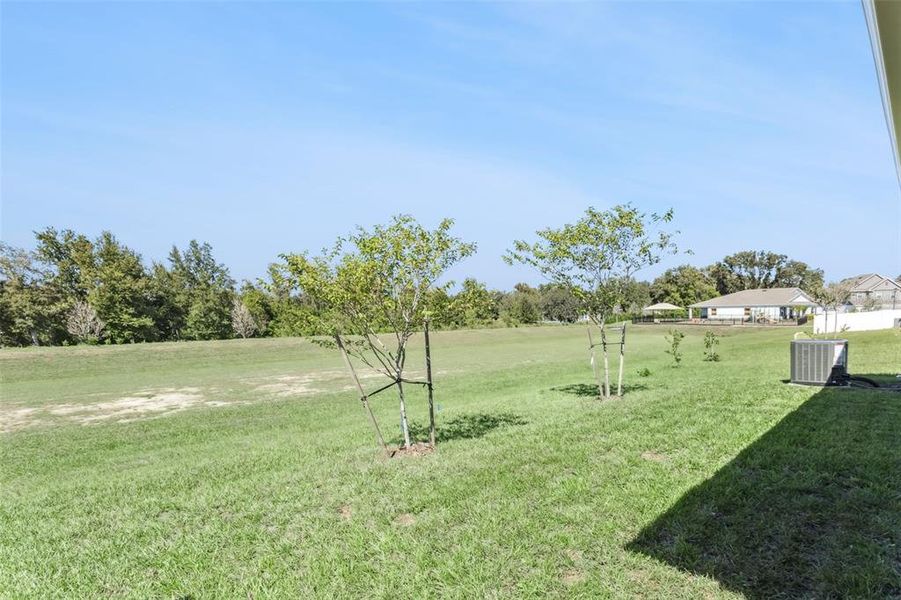 Natural landscape and outdoor views near Villa Pass in Mascotte (Image 34). Natural landscape and outdoor views near Villa Pass in Mascotte (Image 34).