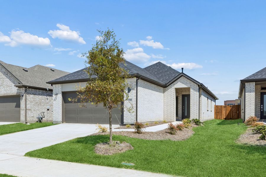 Representative Image - Birch - Elevation A Representative Image - Birch - Elevation A
