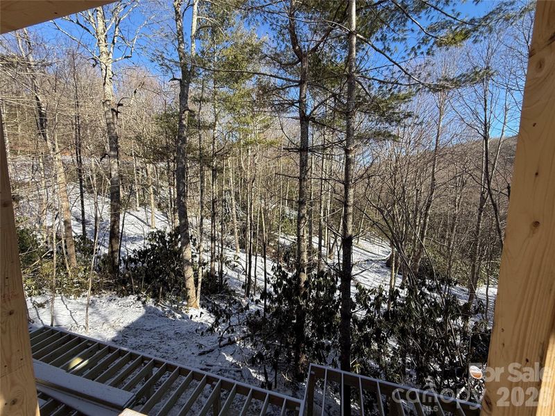 Natural landscape and outdoor views near  in Boone (Image 27).