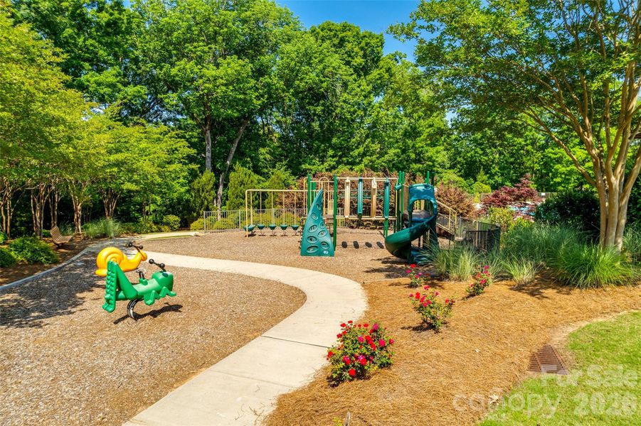 Community amenities in Handsmill on Lake Wylie, York (Image 31).