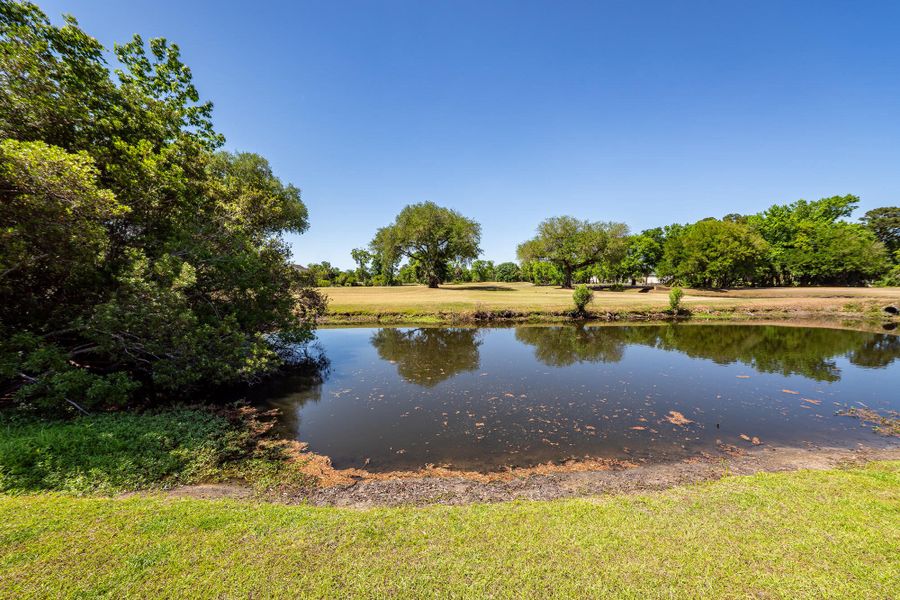 Natural landscape and outdoor views near  in Charleston (Image 68).
