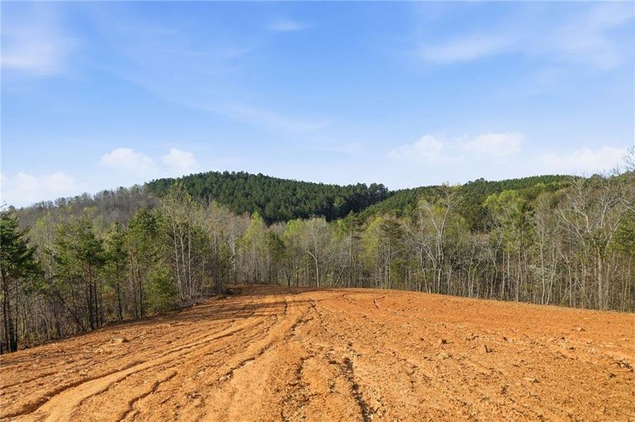 Site preparation for new homesites in , Ellijay (Image 4).