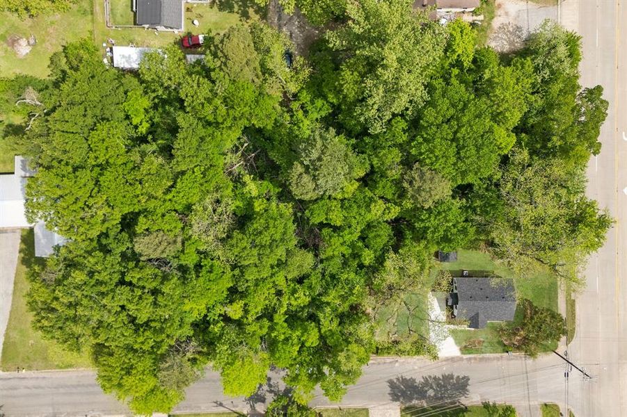 Natural landscape and outdoor views near  in Canton (Image 28).