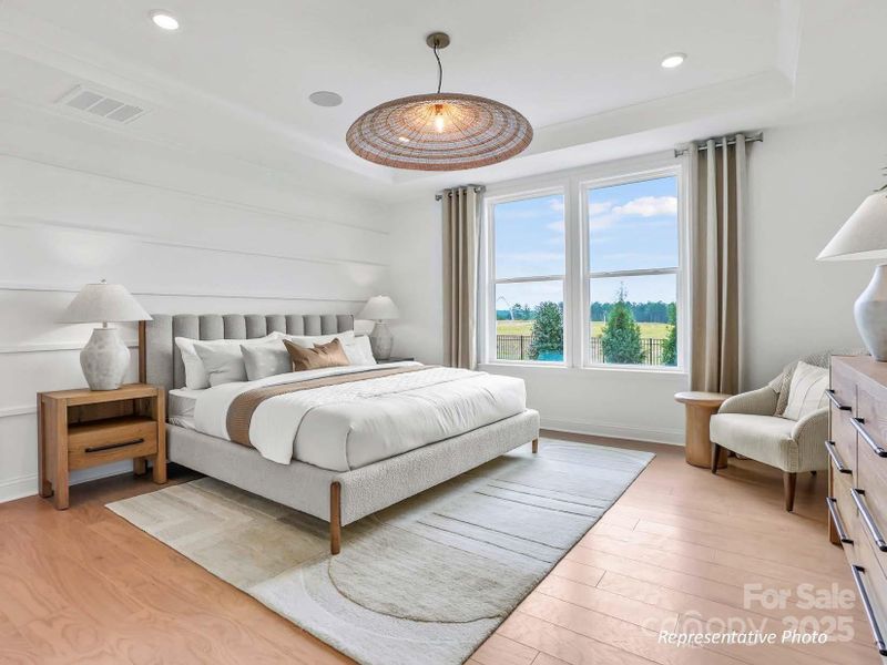 Large primary suite with tray ceiling Large primary suite with tray ceiling