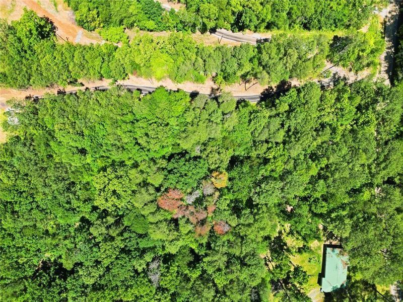 Natural landscape and outdoor views near  in White (Image 50).