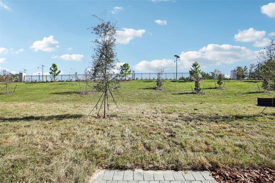 Natural landscape and outdoor views near The Reserve at Hammock Oaks Townes in Lady Lake (Image 29).