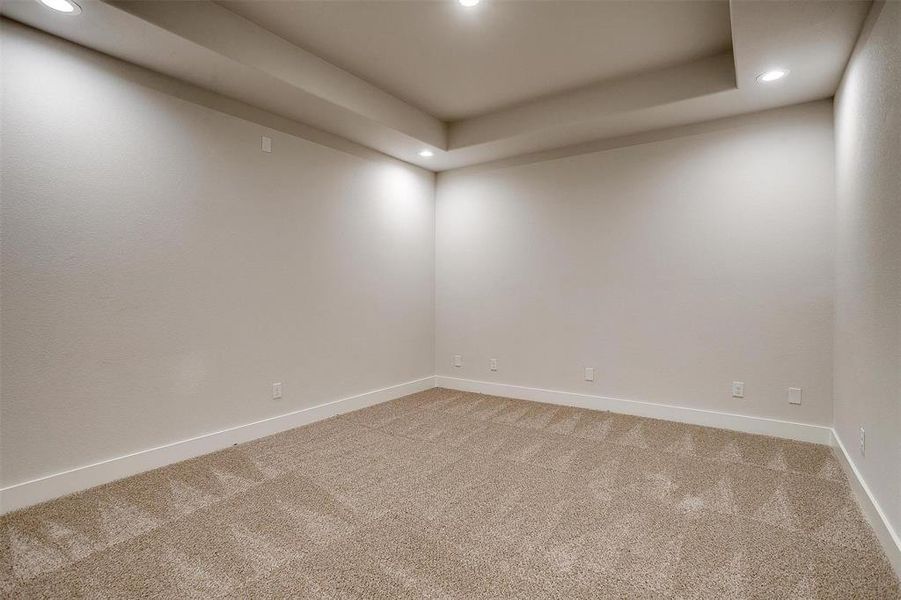 Unfurnished room with a raised ceiling and carpet