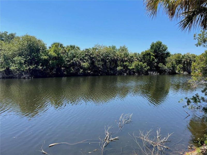 Natural landscape and outdoor views near  in North Port (Image 52).