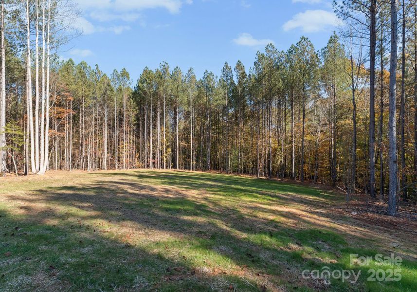 Natural landscape and outdoor views near  in Denver (Image 38).