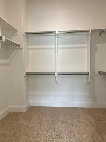 Walk in closet with light carpet