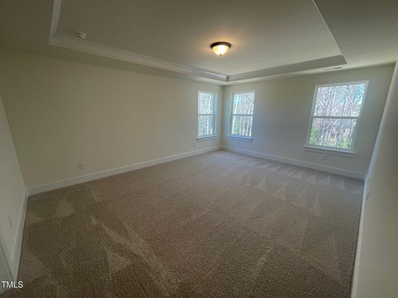 Primary with Tray Ceiling