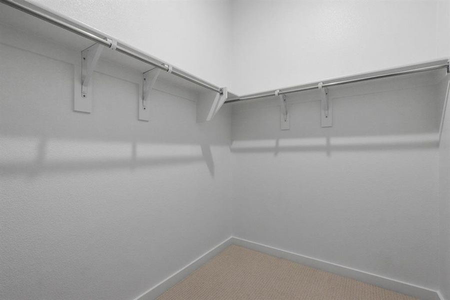 Spacious closet featuring carpet flooring Spacious closet featuring carpet flooring