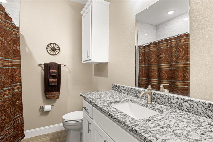 Bathroom featuring vanity, wood tiled floors, and curtained shower Bathroom featuring vanity, wood tiled floors, and curtained shower
