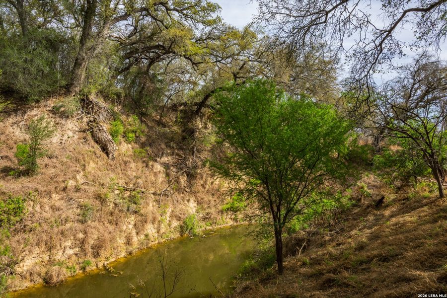 Natural landscape and outdoor views near in Crystal City (Image 18). Natural landscape and outdoor views near in Crystal City (Image 18).
