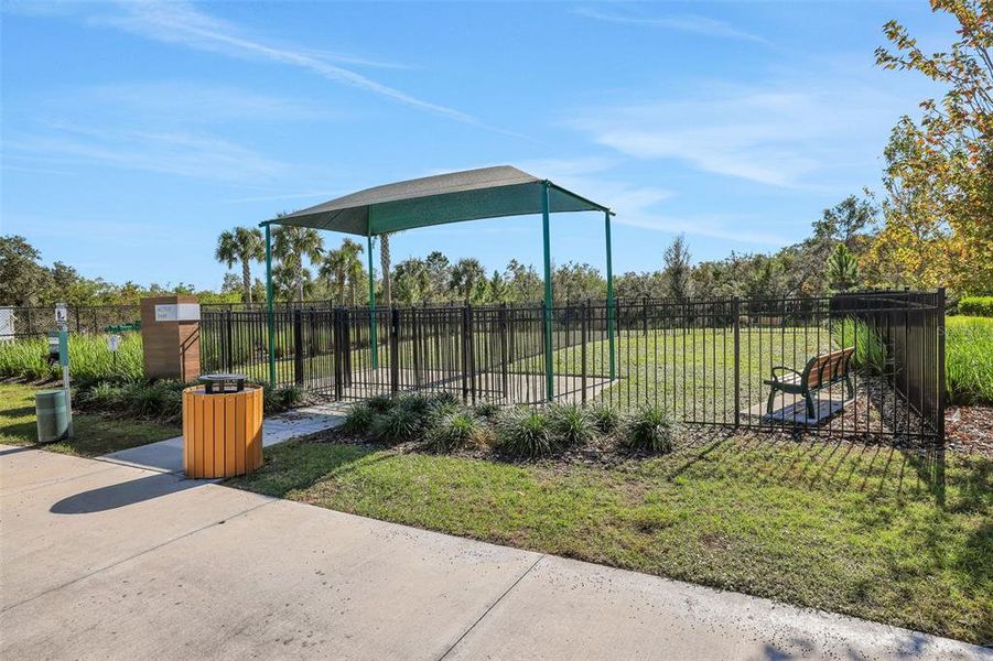 Community amenities in Serenade at Ovation, Winter Garden (Image 33).
