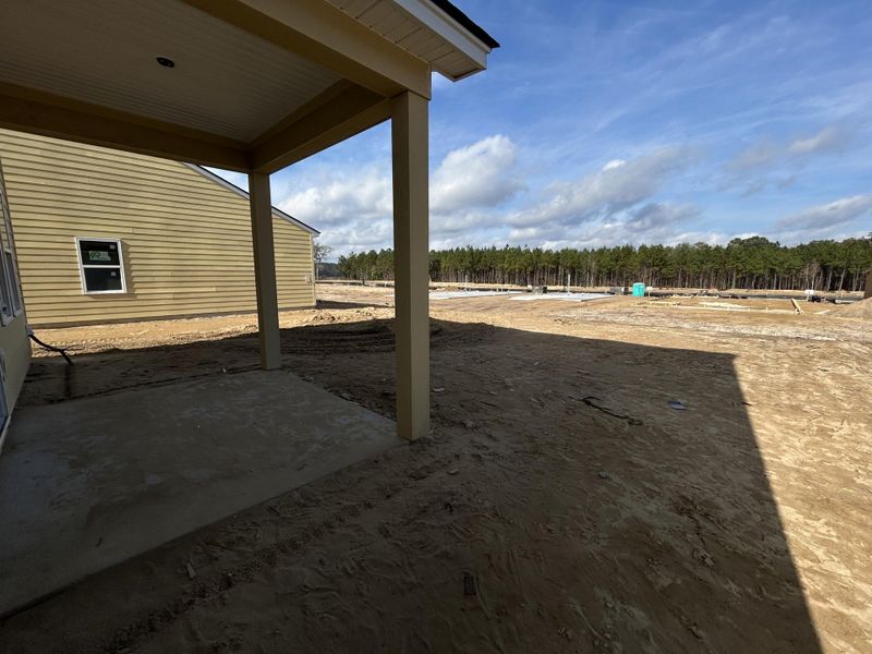 Exterior details and patio area of a home in Tea Farm: Lake Series, Ravenel (Image 1).