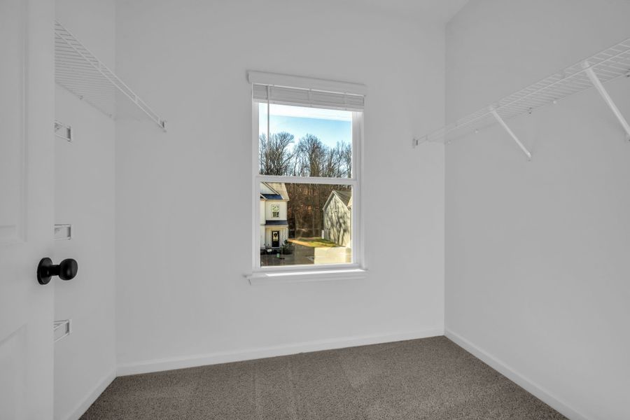 Spacious, unfurnished interior of a new home in Ironhorse, Dickson (Image 28).